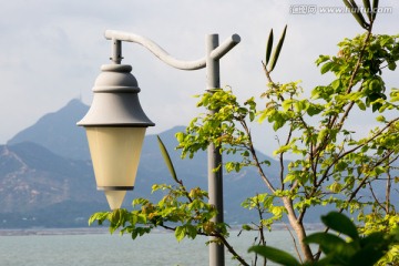 深圳湾公园的路灯