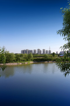大庆 湖泊 国家矿产公园