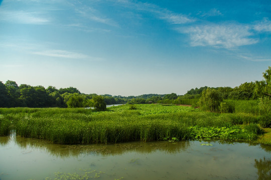 扬州湿地