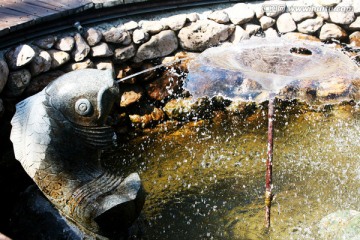 鲤鱼喷水 雕塑