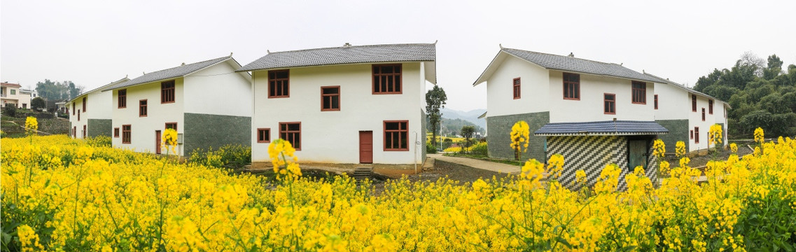 叙永落卜草坝新村油菜花接片大图