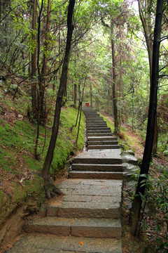 登山路