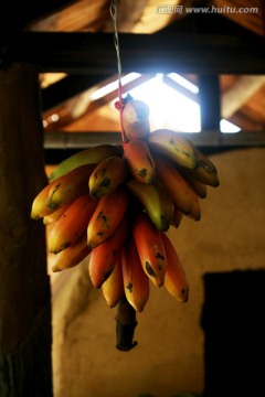 香蕉 水果食物