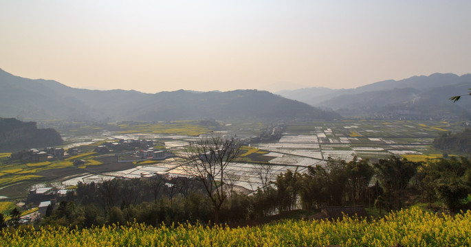 叙永落卜云山坝万亩稻田油菜花