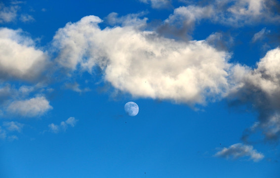 白云与月亮