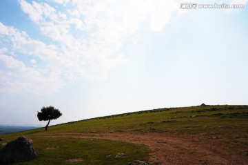 草原