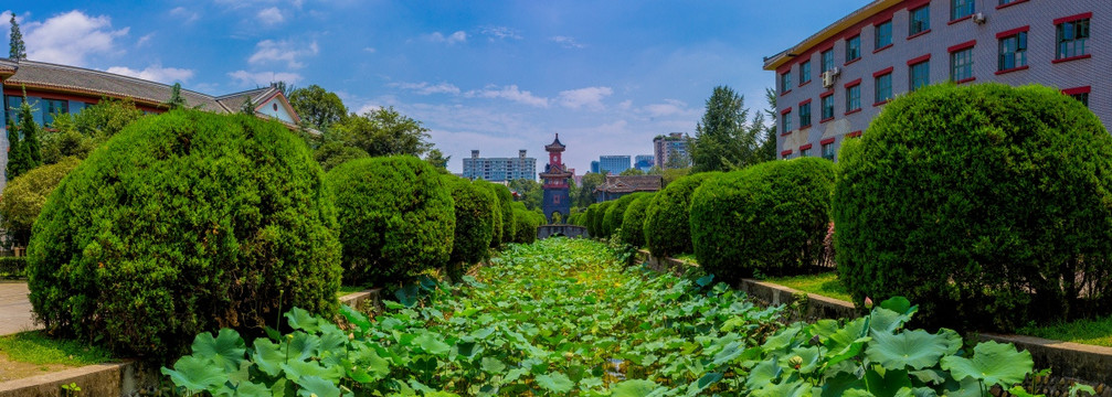 四川大学