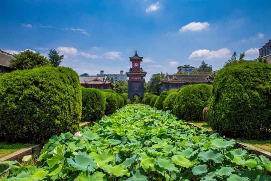 四川大学