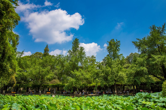 四川大学