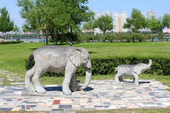 雕塑 大象 小象