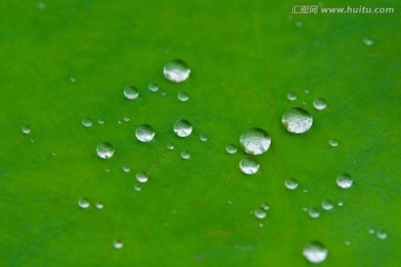 露珠