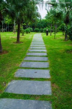 公园小路