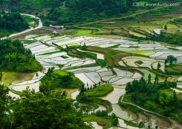 茗岙梯田