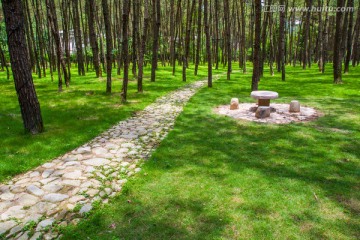 林荫小道
