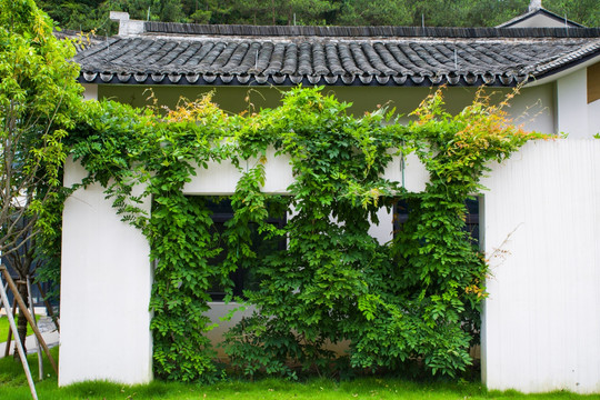 园林景观