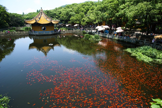 普陀山 普济寺