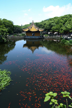 普陀山 普济寺 门口