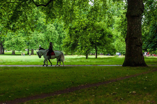 拍摄伦敦骑马的巡警