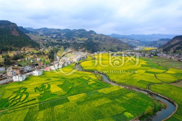 古蔺双沙画里乡村蜿蜒小河油菜花