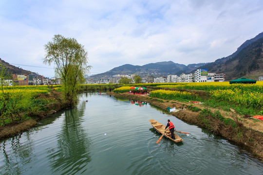 古蔺双沙油菜花小河柳树小木船