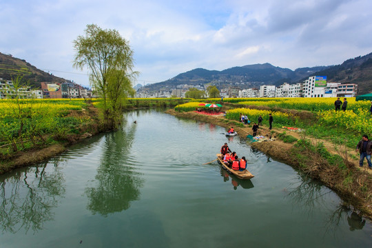 古蔺双沙油菜花小河柳树小木船