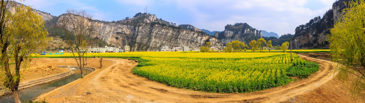 古蔺双沙油菜花画里乡村全景接片