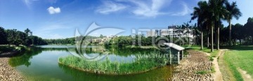 深圳大学文山湖全幅美景