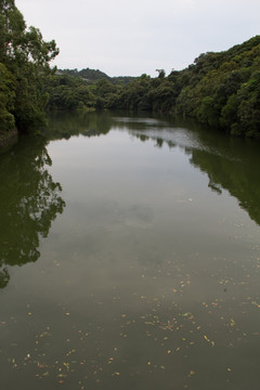 宝峰寺