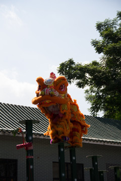 黄飞鸿武术馆舞狮表演