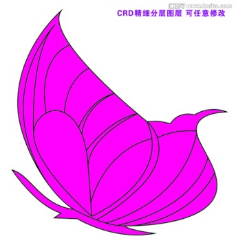 蝴蝶