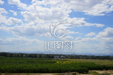 风景