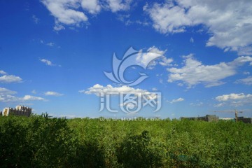 草原天空