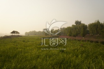 风景 公园