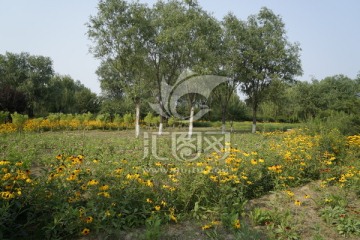 风景 公园