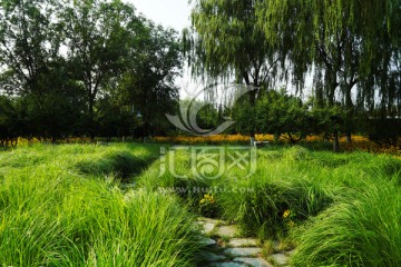 风景