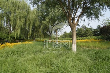 风景