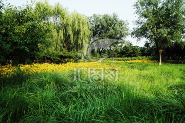 风景
