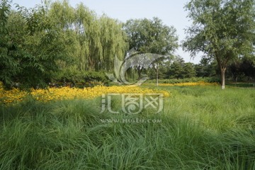 风景