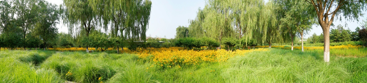 运河公园