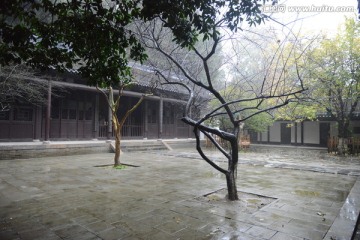 三顾堂