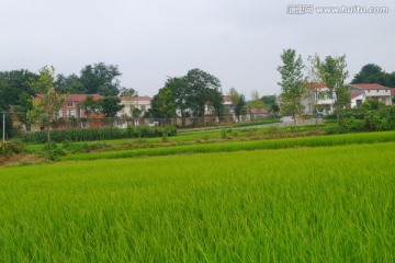 乡村风景