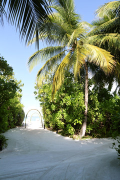 马尔代夫 海岛 风景