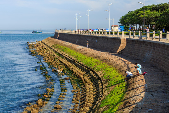 海堤
