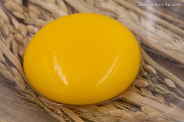 鸡蛋黄 稻穗