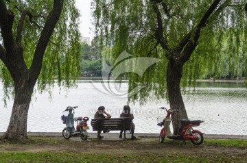 湖边柳荫下的女人