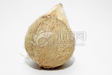 剥皮老椰子
