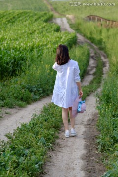 漫步田野