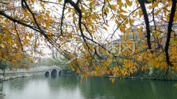 秋叶 秋色 小桥