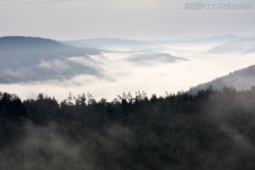 幽幽山谷云雾升腾