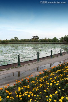 公园 湖水